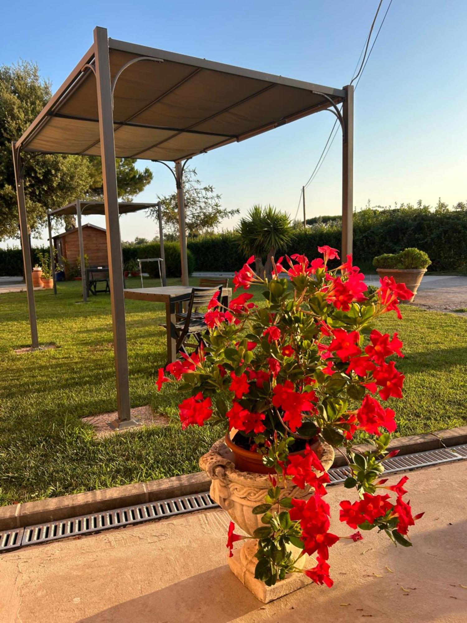 Agriturismo Da Michele E Carmela Di Voli Patrizia Donoratico Ngoại thất bức ảnh